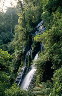 Sabine Falls